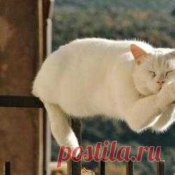 И снова демотиваторы