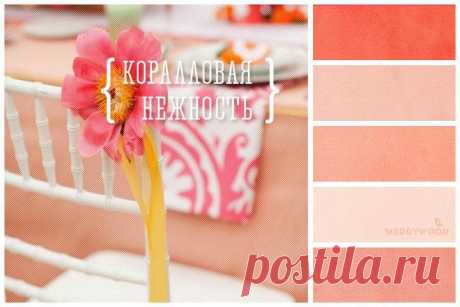 Вдохновением цветом: коралловый