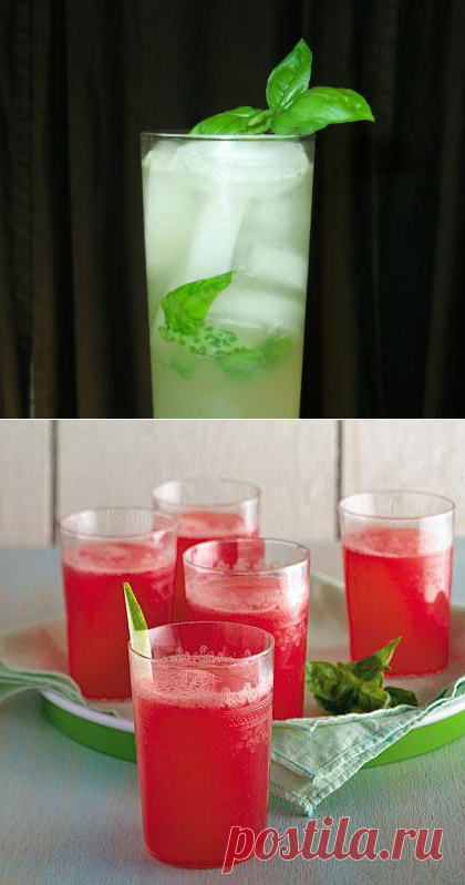 Напиток из базилика: варианты приготовления в домашних условиях
