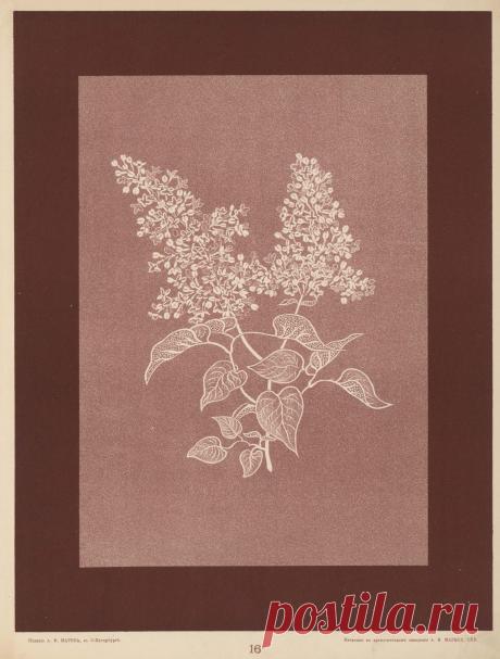 Книга - "Вышивка ( 1905 г)".