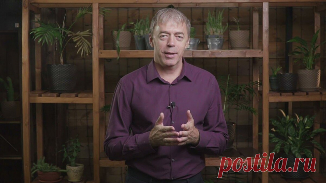 Предсказания на ближайшие 5 лет от нумеролога Андрея Ткаленко | Adella | Дзен