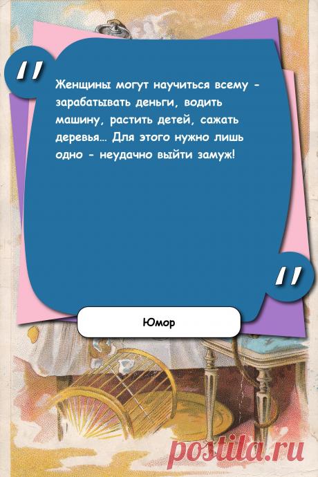 Цитата про «Юмор» — Женщины могут научиться всему - зарабатывать…