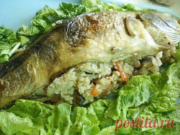 терпуг / Рецепты с фото