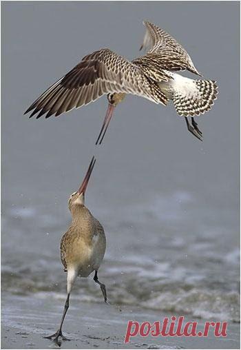 Интересные новости