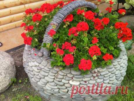 (4) Одноклассники