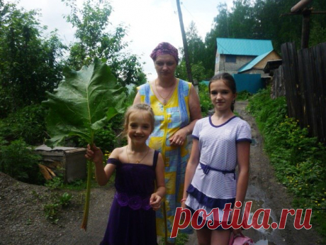 А мамы больше нет..Она ушла в этом,2016 году в 6 часов утра.7 января,пройдя все круги Ада и надеясь на чудо,но чуда не произошло..