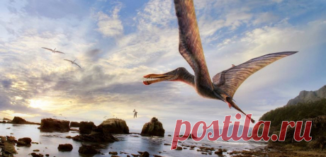 Крылатые из Арарипе: Птерозавры вымерли 66 миллионов лет назад, но и сегодня они остаются самыми загадочными существами, когда-либо жившими на Земле ...