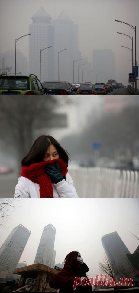 В понедельник, 24 февраля, в столице Китая был объявлен «оранжевый» уровень опасности. Причина — сильное загрязнение воздуха в мегаполисе. В Поднебесной действует четырехуровневая система предупреждений о природных катаклизмах. Степень угрозы по мере нарастания обозначается синим, желтым, оранжевым и красным цветами.