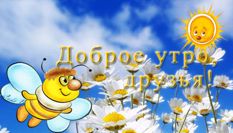 «#доброе #утро» — карточка пользователя Дмитрий в Яндекс.Коллекциях