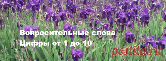 Вопросительные слова в испанском языке, цифры от 1 до 10