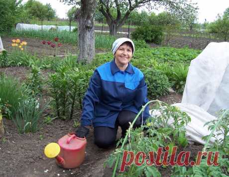 Полезные советы не только начинающим, но и опытным огородникам 

Для быстрого роста помидор
Рассаду помидоров поливают раствором йода для более быстрого роста (1 капля на три литра). После применения этого раствора рассада зацветёт быстрее, а плоды будут крупнее.…