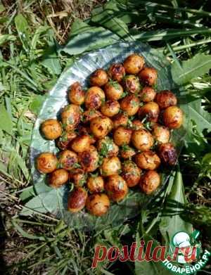 Картофель 