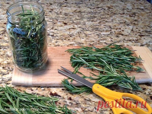 Знаете ли вы, что растение из вашего сада может исцелить выпадение волос? Дешево и очень эффективно! В вашем саду могут быть экзотические цветы и ароматные травы, но если у вас есть розмариновый кустарник, вам наверняка повезет.