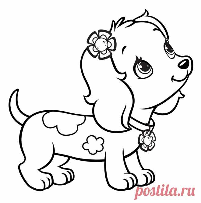 Раскраски собак скачать или распечатать
