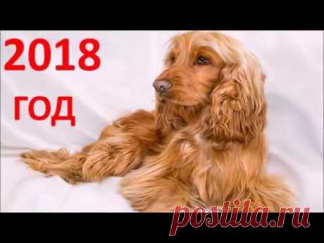 Прогноз на 2018 год по знакам Зодиака.