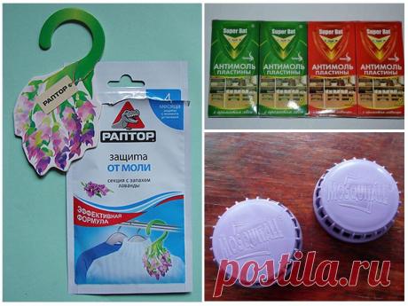 Как избавиться от моли в квартире в домашних условиях