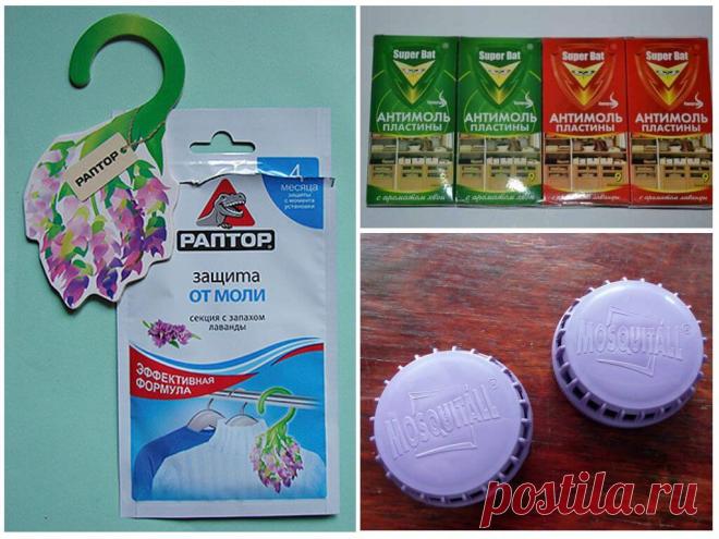 Как избавиться от моли в квартире в домашних условиях