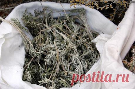 Оказывается, полынь может эффективно удалить остриц, круглых червей, грибки, инфекции и даже рак! - Сайт для женщин Это впечатляет! Полынь обладает способностью убивать клетки рака и останавливать его развитие! Сегодня я расскажу вам, почему эта трава так цениться в натуральной медицине. Хорошей новостью является то, что эта трава легко доступна и найти ее можно не только в аптеках, но и просто во дворе. Это растение имеет сильный запах и обладает острым и …