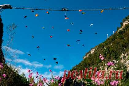 В Сочи парашютисты массово спрыгнули с моста и установили мировой рекорд. В Сочи парашютисты одновременно спрыгнули с самого длинного в России подвесного пешеходного моста и установили мировой рекорд. Об этом сообщает ГТРК «Вести Сочи». В массовом прыжке приняли участие 28 парашютистов. Рекорд был зафиксирован в рамках фестиваля бейсджампинга, который прошел в Сочи с 8 по 10 октября.