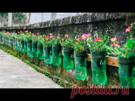 Amazing Vertical Garden Ideas for Home, Vertical Garden Automatic Watering