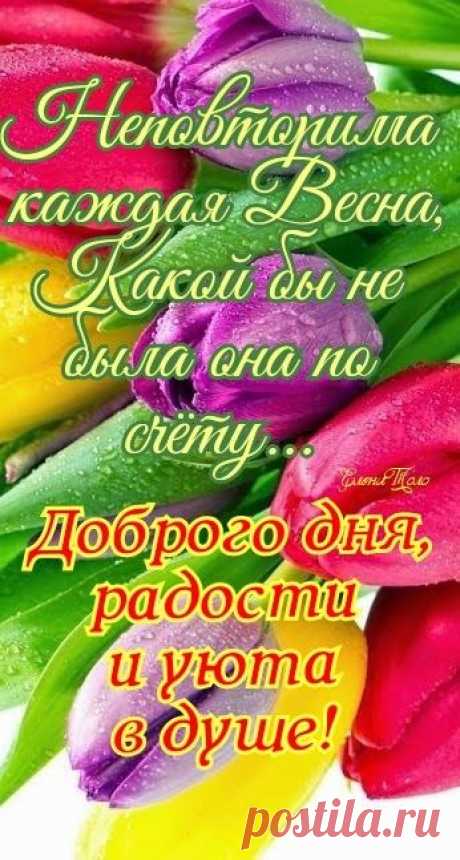 (1) Pinterest