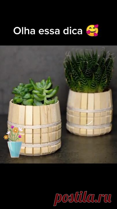 Olha que dica maravilhosa para potinhos de plantas 😍😍#love #garden #... | TikTok