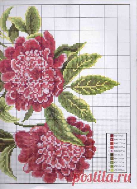 pic4you.ru | Фотохостинг с оплатой | Бесплатный хостинг картинок