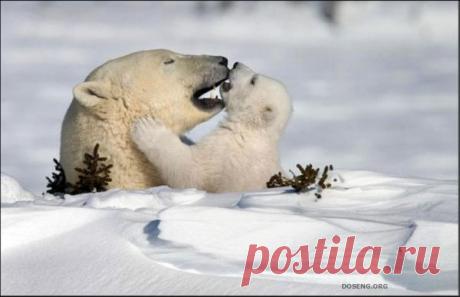 ПОДБОРКА ШИКАРНЫХ ФОТОГРАФИЙ ПРИРОДЫ (62 ФОТО)