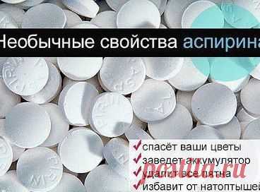 (83) Одноклассники