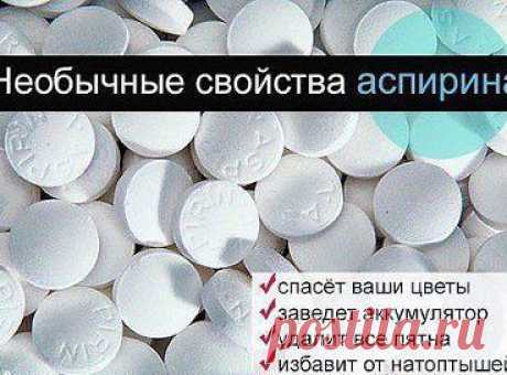 (83) Одноклассники