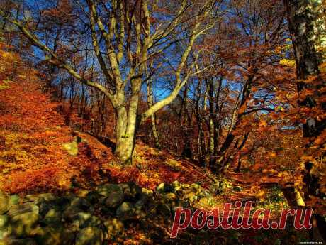 01049c15fa604e16c57ffe20852038e2.jpg (1600×1200)