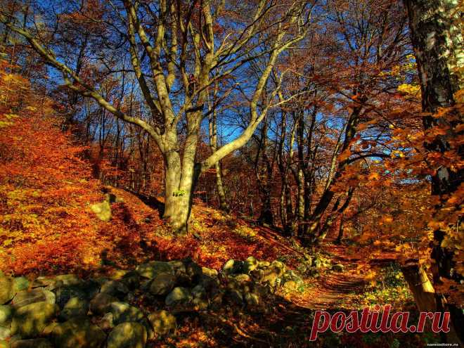 01049c15fa604e16c57ffe20852038e2.jpg (1600×1200)