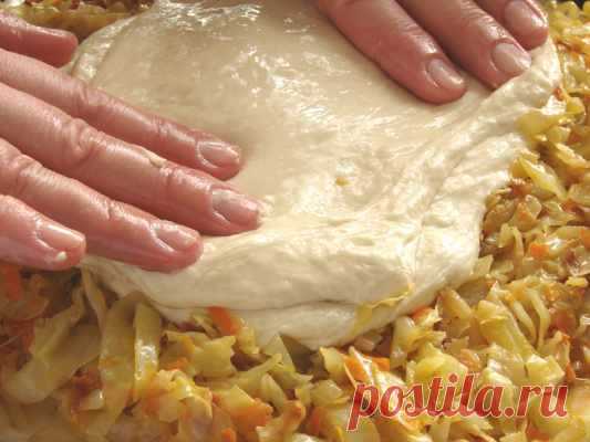 Заливные пироги на любой вкус и цвет: 27 самых вкусных начинок и 6 рецептов теста — Домашняя кулинария