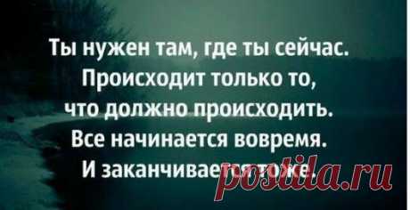Личные фотографии - Александр Парфилов - Веб-альбомы Picasa