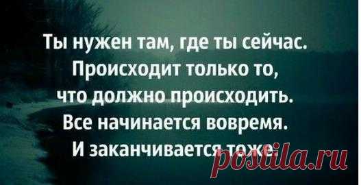 Личные фотографии - Александр Парфилов - Веб-альбомы Picasa