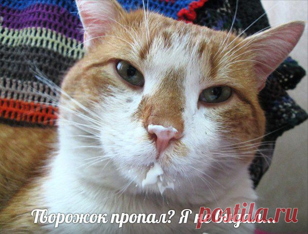 Оксана Левизарович