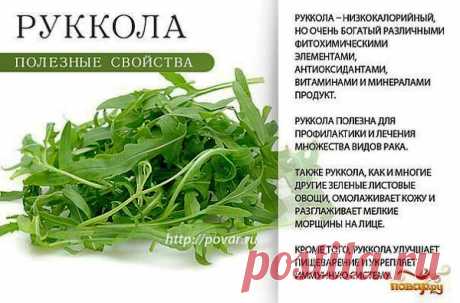 полезные травы