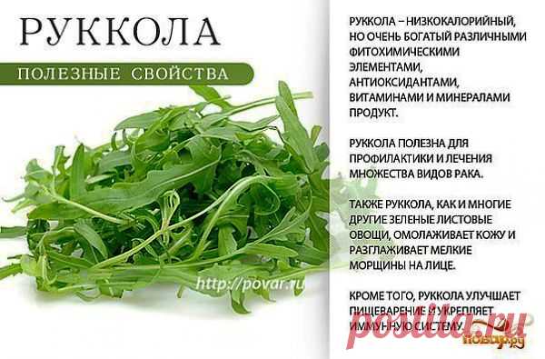 полезные травы