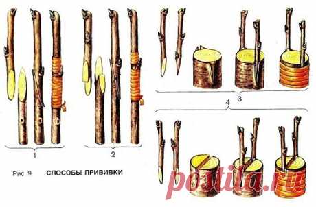 Одноклассники