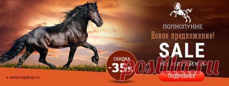 Магазин конной амуниции. Товары для лошадей. Тел. +7 (905) 904-15-52