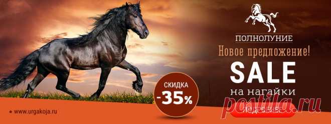 Магазин конной амуниции. Товары для лошадей. Тел. +7 (905) 904-15-52