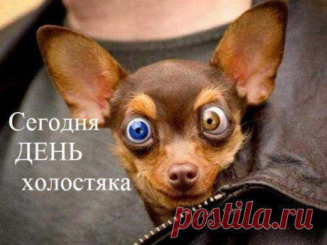 С днем холостяка! Пусть жизнь будет яркой, как вечер пятницы, свободной, как ветер, и веселой, как встреча с друзьями!