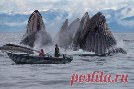 Вот это настоящий экстрим! Захватывающее зрелище!