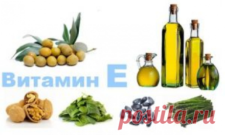 Блог для женщин » Blog Archive Польза витамина Е | Блог для женщин