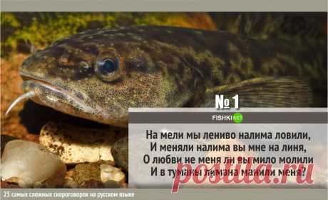 25 САМЫХ СЛОЖНЫХ СКОРОГОВОРОК НА РУССКОМ ЯЗЫКЕ
