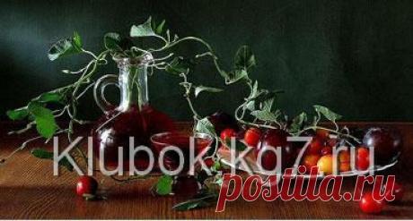 Домашнее вино и настойки: мастер-класс