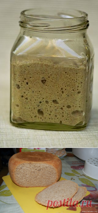 Рецепты заквасок: ржаная, изюмная, кефирная, зерновая, хмелевая