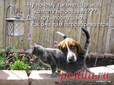 Интересные новости