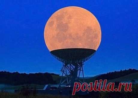 Удачный кадр