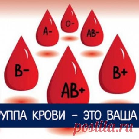 Ваша группа крови - это ваша судьба - МирТесен